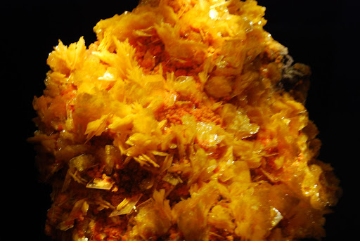 Звезд на вечеринках и премьерах.