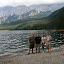 [EN] Grainau, Germany. Eibsee Lake, the Zugspitze Massif in the background. [SK] Grainau, Nemecko. Pleso Eibsee, v pozadi masiv Zugspitze.