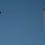 Tightrope walker in Niagara Falls (Canada). Tightrope walker in Niagara Falls (Canada).