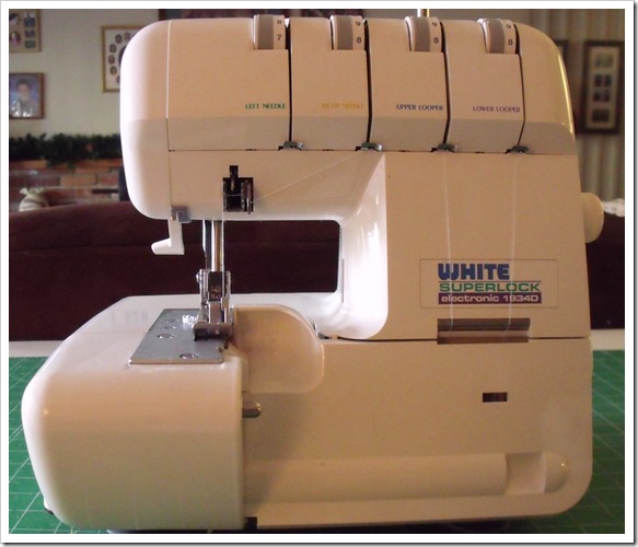 2010_1012serger0004