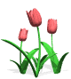 clip_image001