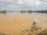 Realmente no da idea de como estaba todo de inundado. Habia grandes areas que parecian el mar, que esta a varios kilometros.
