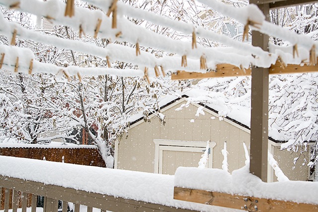 [Snow24.jpg]