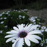 IMG_0999.JPG