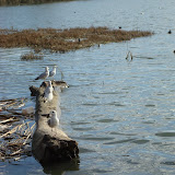 DSC00820.JPG