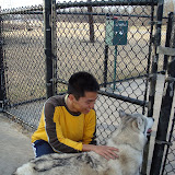 DSC01043.JPG