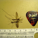 IMG_2848.JPG