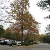 IMG_6259.JPG