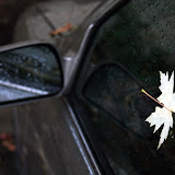 IMG_5778.JPG