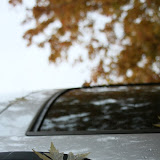 IMG_5796.JPG