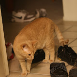 IMG_0790.JPG