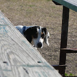 IMG_1591.JPG