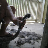 IMG_8831.JPG
