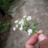 IMG_8943.JPG
