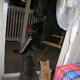 IMG_9317.JPG
