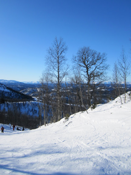 IMG_0056.JPG