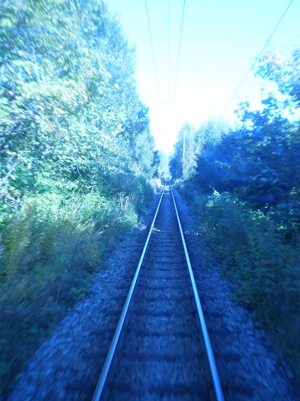 P9190095.JPG
