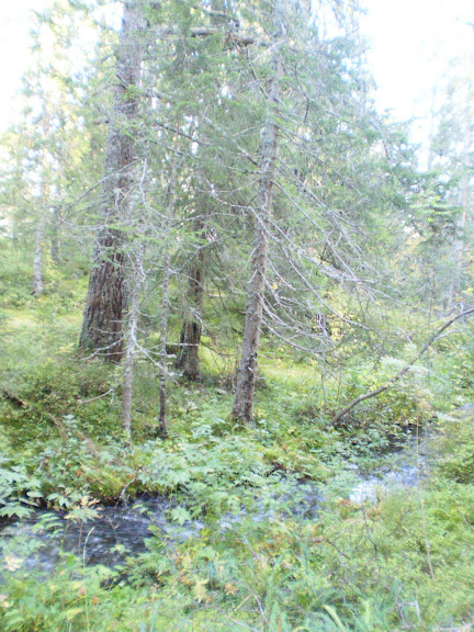 P9190117.JPG