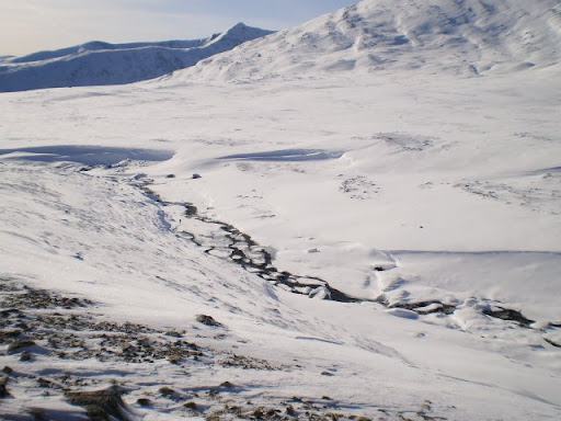 PA100073.JPG