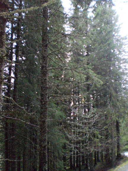 PA170167.JPG