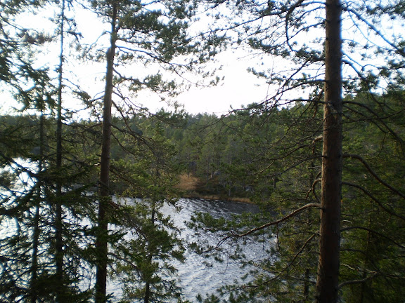 PA240196.JPG