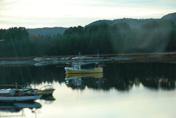 DSC_1673.JPG