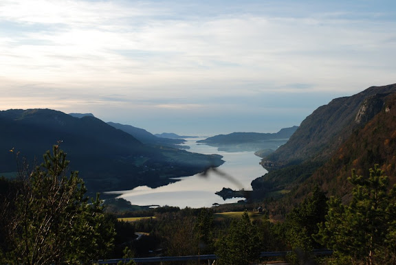 DSC_1659.JPG