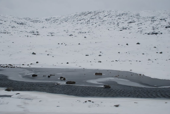 DSC_1791.JPG