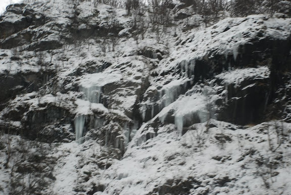 DSC_1824.JPG