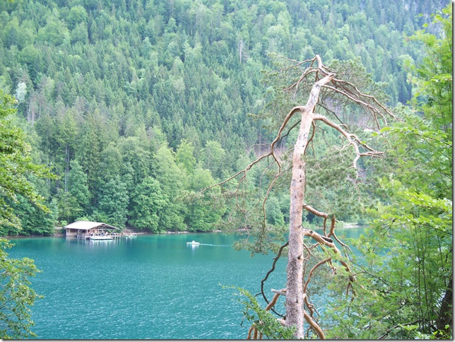 alpsee boating lodge far