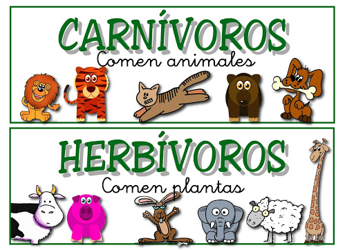 animales omnivoros para pintar
