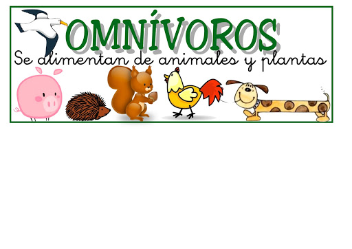 animales omnivoros para pintar