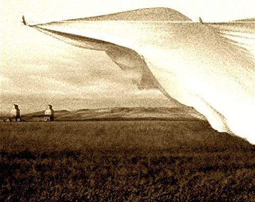 [prairie wind[3].jpg]