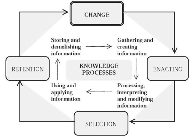 Strategic sense-making and related knowledge process of the organization 