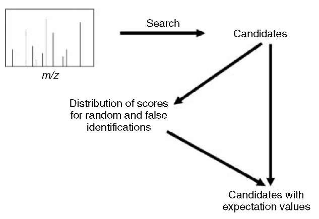 Most protein candidates given by a search engine are due to random matching. The distribution of scores for random and false identifications can therefore be obtained and used to calculate the expectation value for the protein candidates 