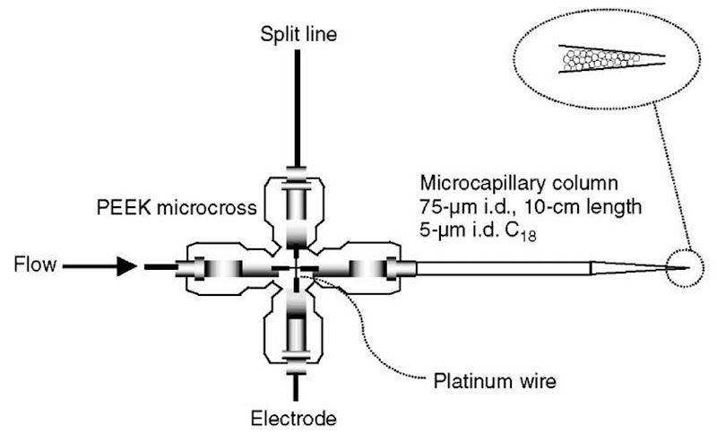 Schematic representation of |LC/ESI device 