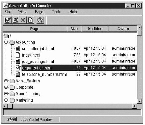Azizas Java applet Authors Console. 