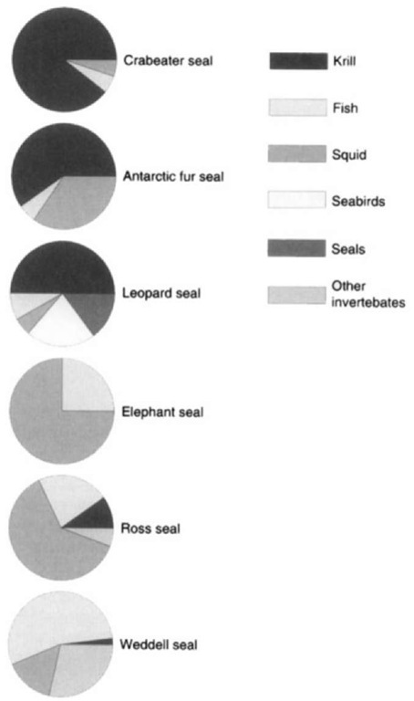 Pie charts showing the composition of diets of Antarctic seals. The charts are atranged with those species that depend most on krill at the top and those that depend most on fish at the bottom: Betiueen these are those species that have squid as a major component of the diet.