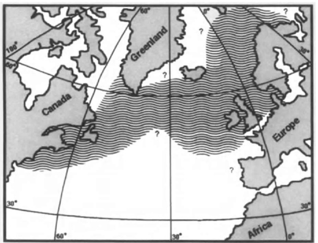 Known distribution limits of the Atlantic white-sided dolphin. The patterned area indicates areas of regular occurrence and question marks indicate uncertainty about occurrence in particidar areas. 