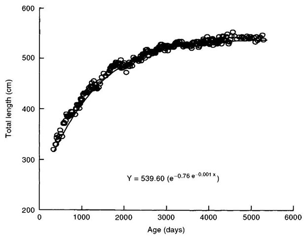 Killer whale growth (length) curve as an example of data that can be gathered from captive-bred animals