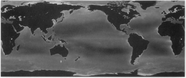 Mean phytoplankton pigment concentration from SeaWiFS satellite data, 1998-1999, increasing from darker to lighter grays; uniform light gray near the poles indicates missing data. 