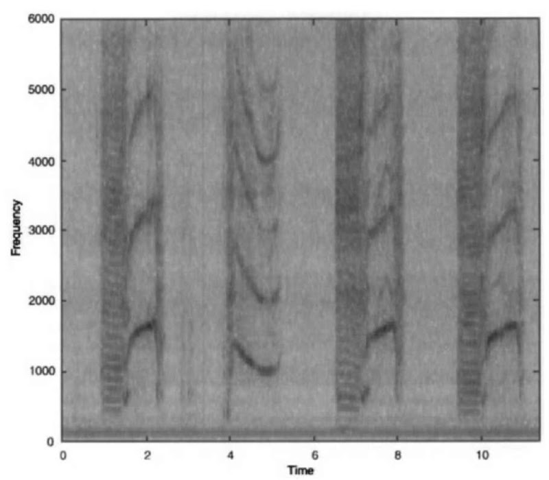  A typical spectrogram of a killer whale call. This spectrogram also shoxvs amplitude-modulated calls (banded) followed by frequency-modulated upsiveeps. 