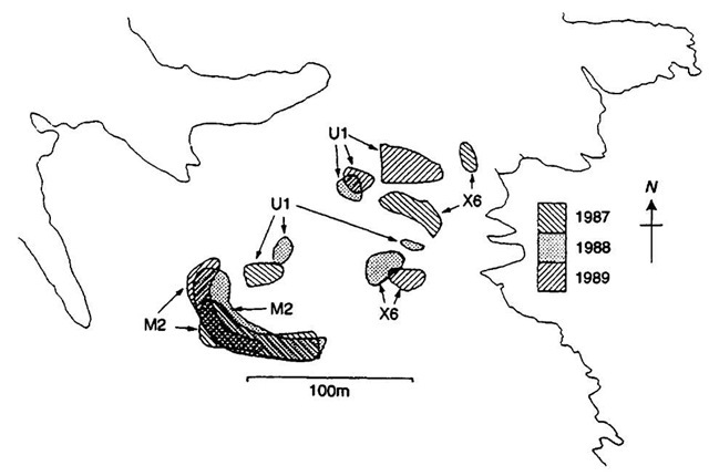 Movements within and site fidelity between years are important in spacing systems of most or all territorial marine mammals: territorial male gray seals on North Rona, Scotland. 