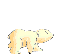 [polarbearcub[43].gif]