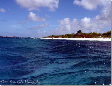 Bonaire_P1230953
