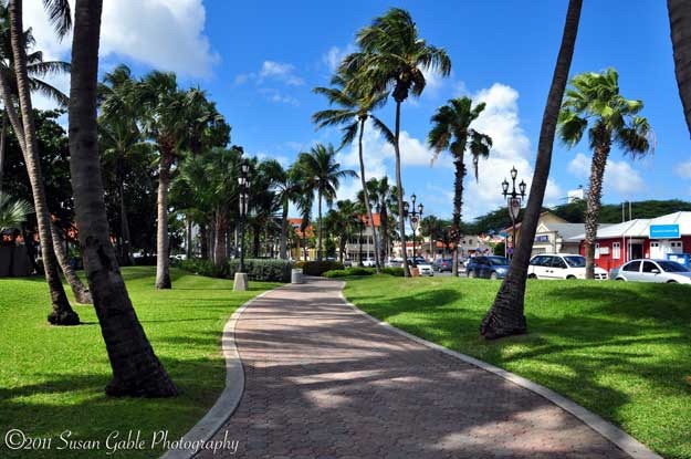 [Aruba_6769[3].jpg]