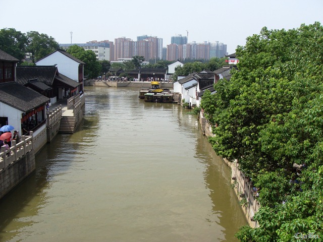 [DSC009796.jpg]