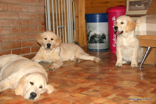 1%20065.jpg