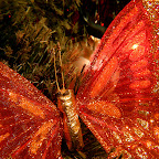 20061223IMG_0162 Kerstversiering.jpg