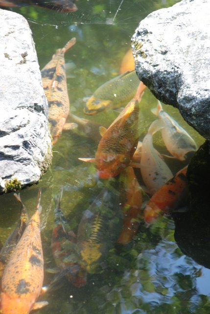DSC_6964.JPG